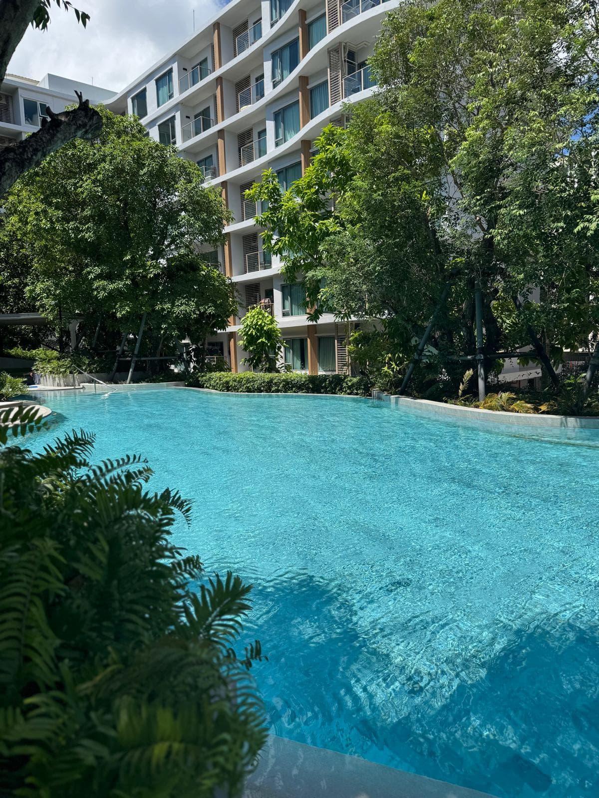 1 Bed Condo, Phyll Central