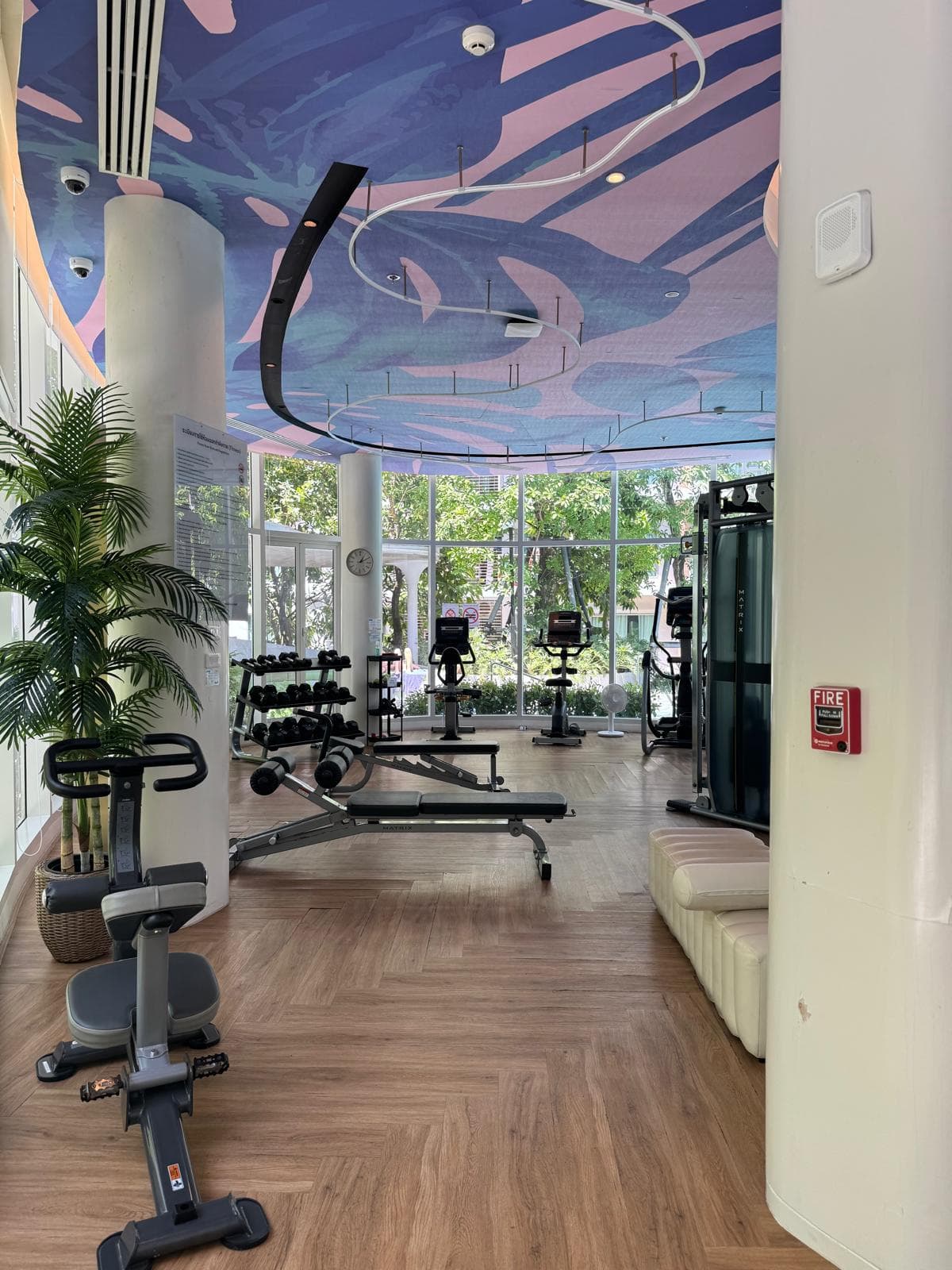 1 Bed Condo, Phyll Central